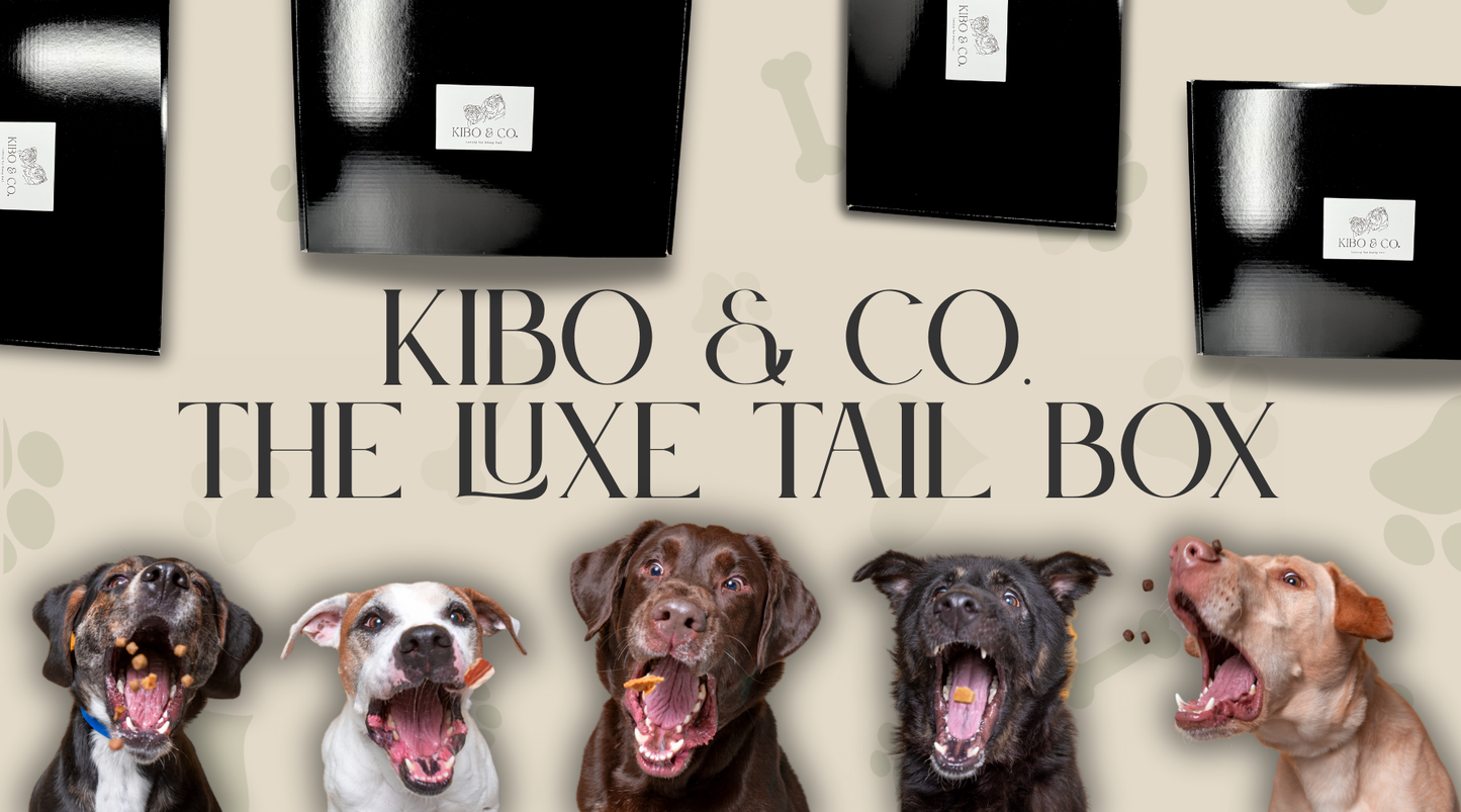 Kibo & Co. The Luxe Tail Box