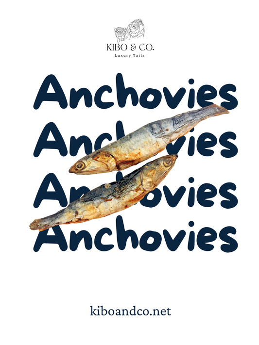Ocean Bites | Wild Whole Anchovies