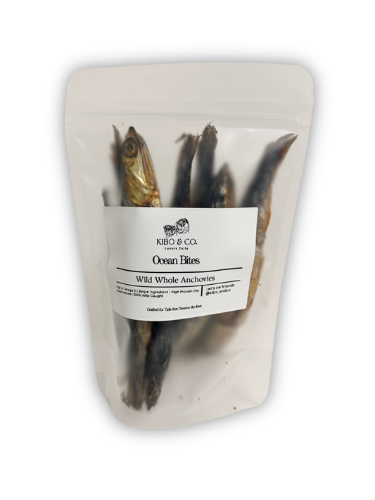 Ocean Bites | Wild Whole Anchovies