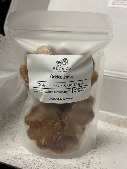Golden Paws / Pumpkin